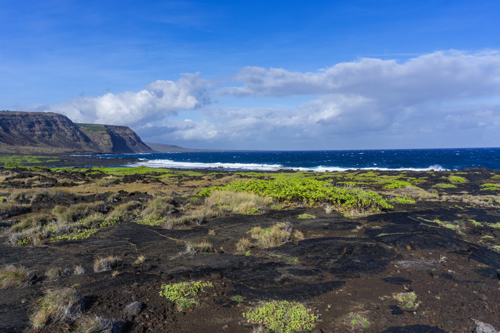 Down the Pali, Along the Shore, A Guest Blog by Yvonne Baur