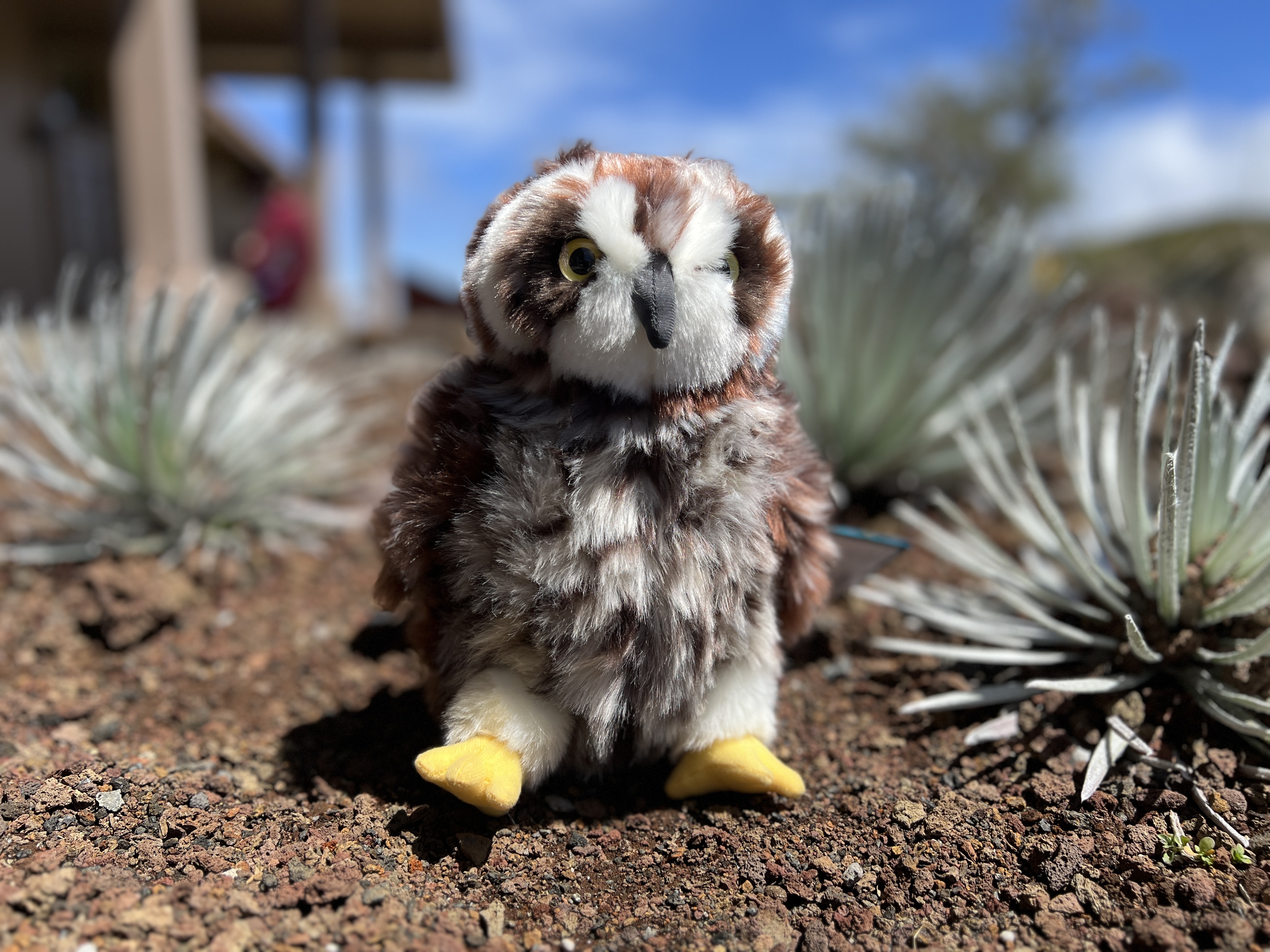 A plush nene goose sits next to a small holiday tree with national parks ornaments.